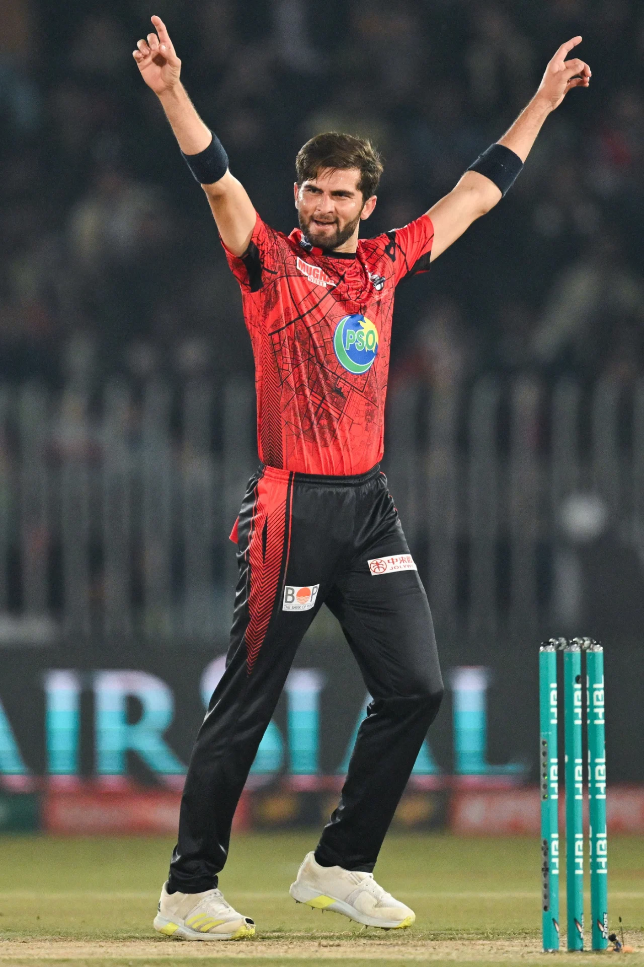 Shaheen Afridi brings out his trademark celebration, Lahore Qalandars vs Islamabad United, Pakistan Super League, Rawalpindi, March 6, 2024